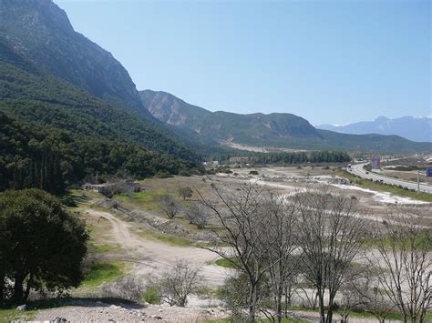Thermopylae .